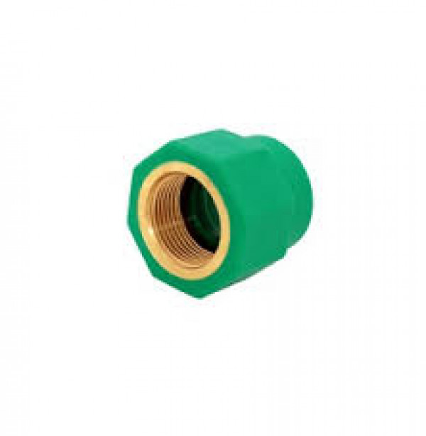 Cep kratak navoj fi20 PESTAN